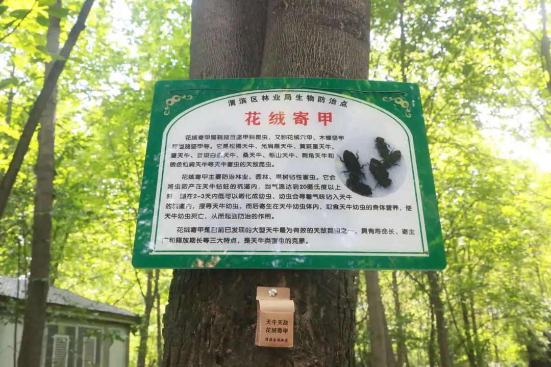 10.jpg 10.jpg