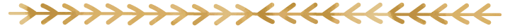 6387231455463424934374789.png 6387231455463424934374789.png